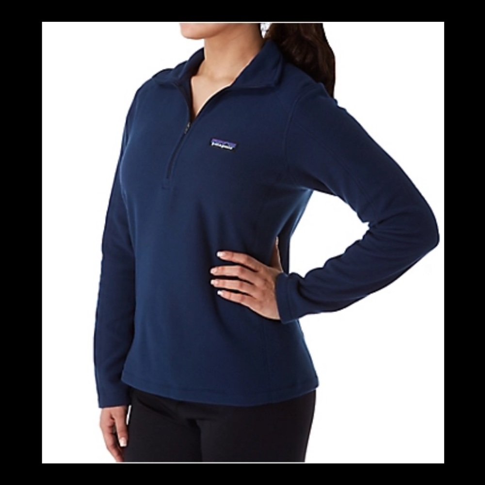 Patagonia Micro D Microfleece Pullover - image 1
